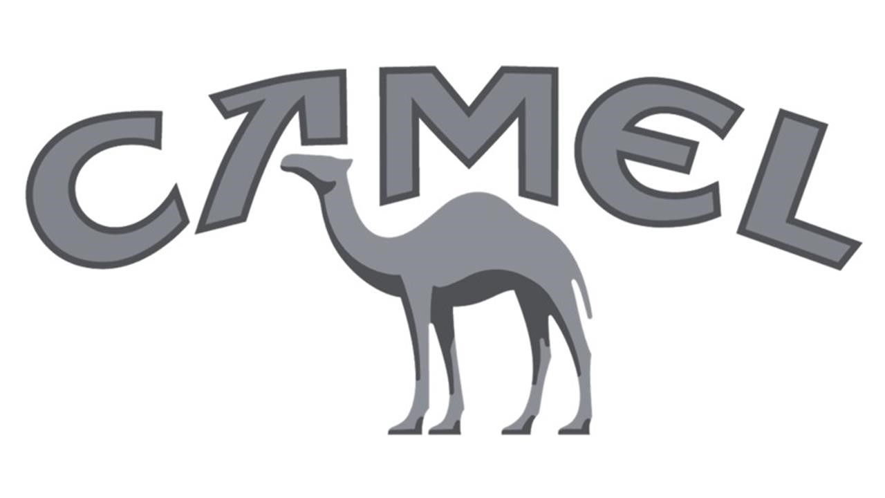 camel1