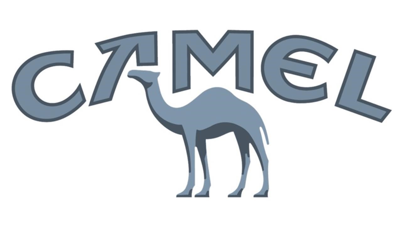 camel1